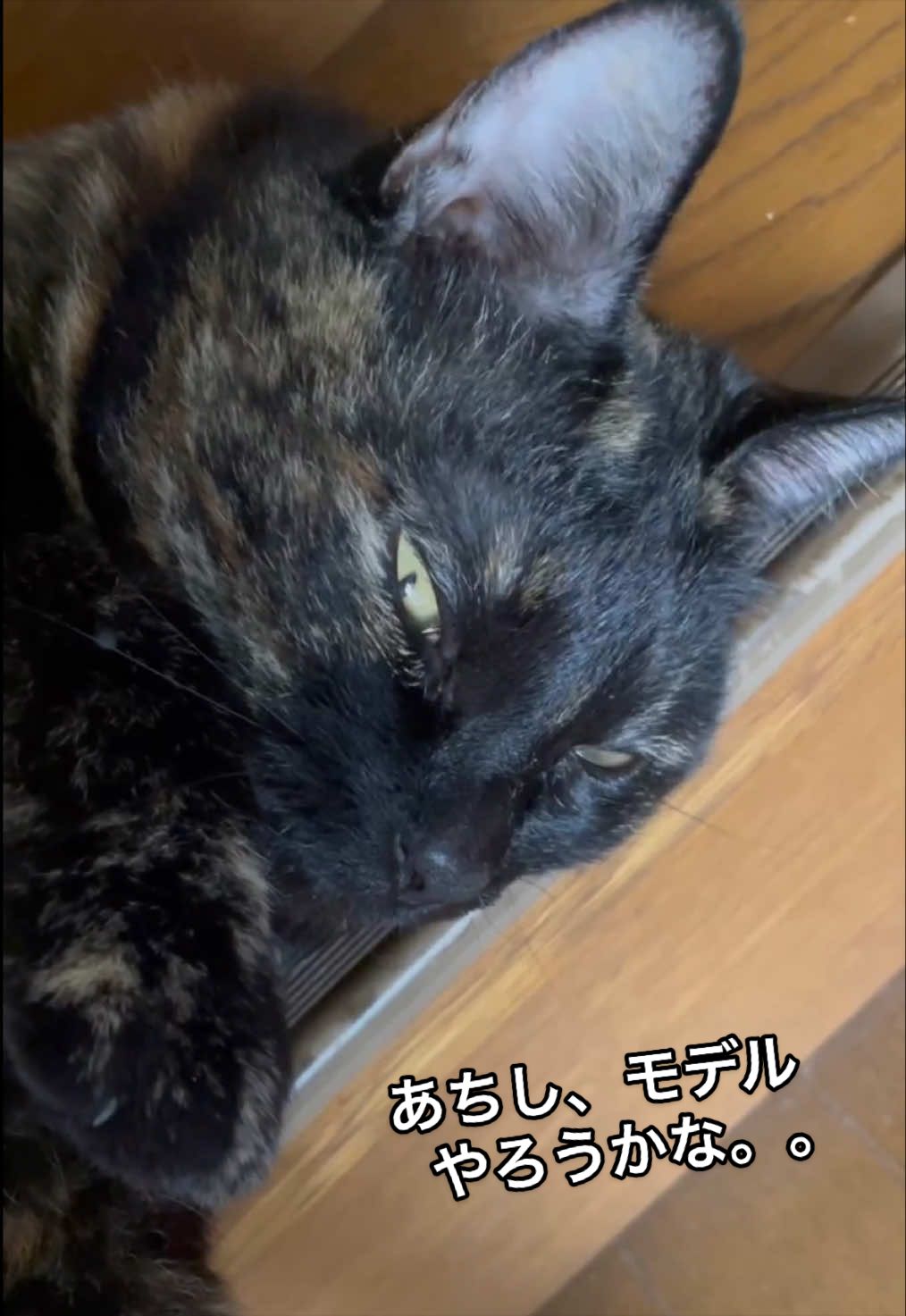 @聴々物語PROJECT