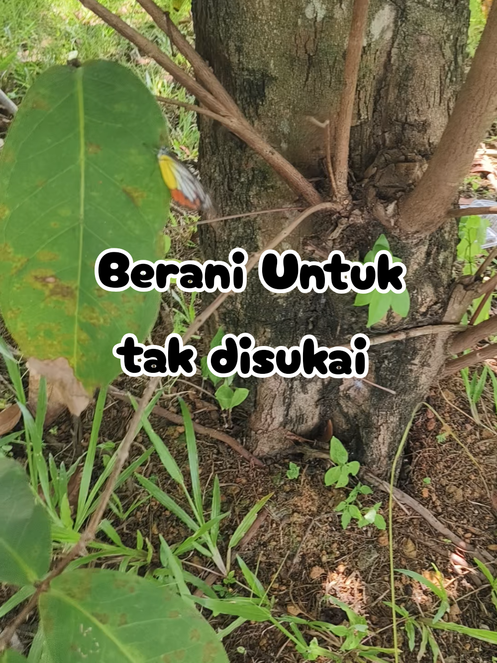 @EIZZwANRoSSY™