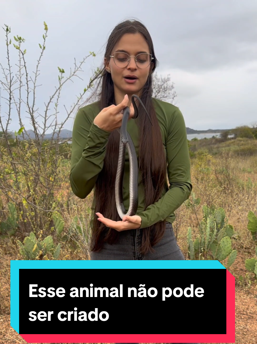 @Princesa das Serpentes