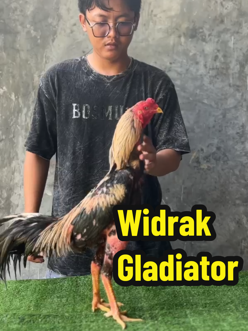 @Nando Gladiator Farm ⚔️