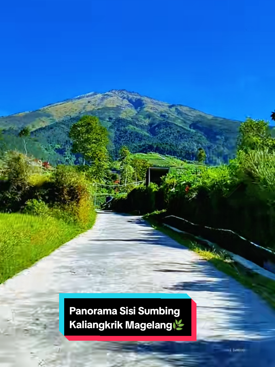 @SISI_SUMBING