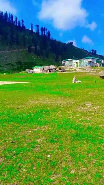 @Hi🎻🇵🇰804🎻OK📿🚭🇸🇦
