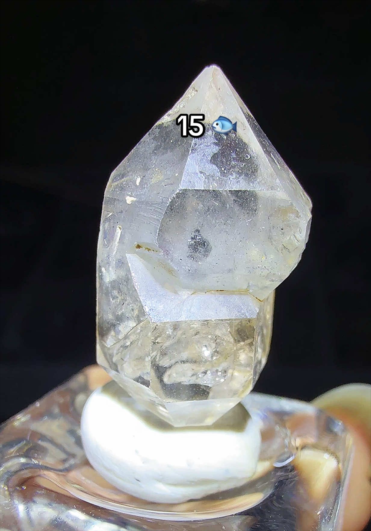 @Halen Crystal