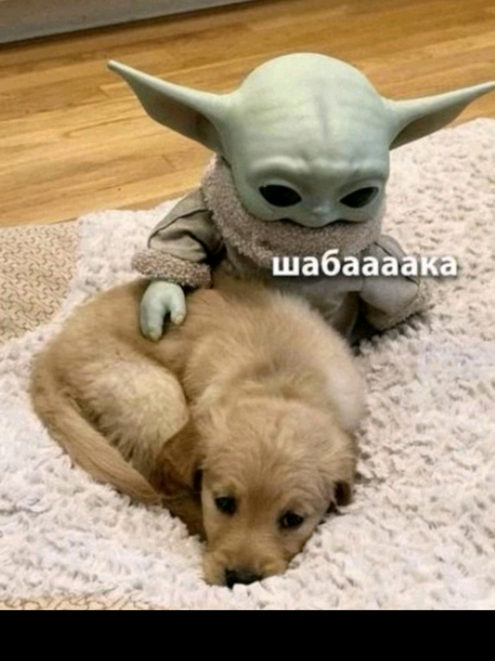 @vrnk
