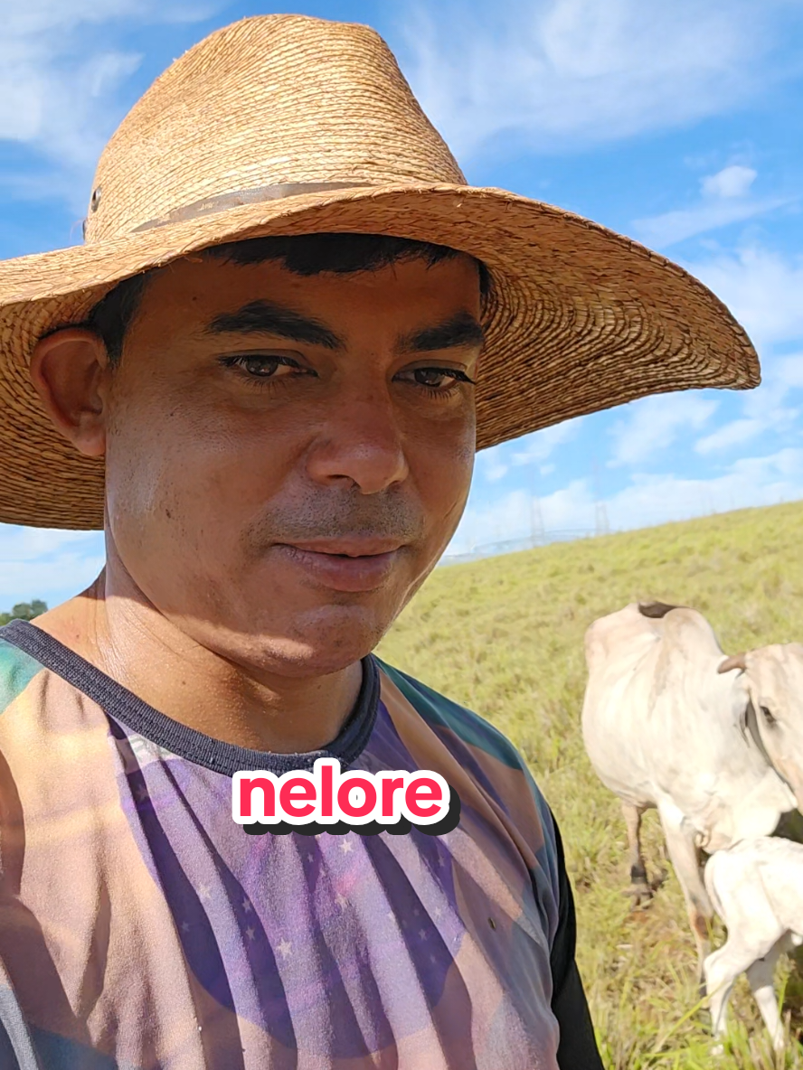 @Geovane neto