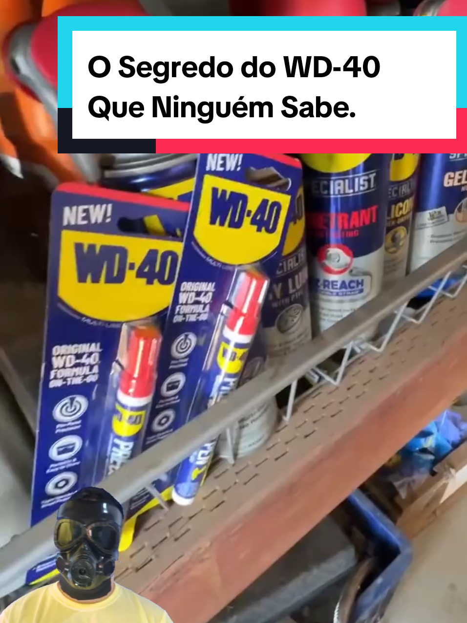 @Mundo da Curiosidades