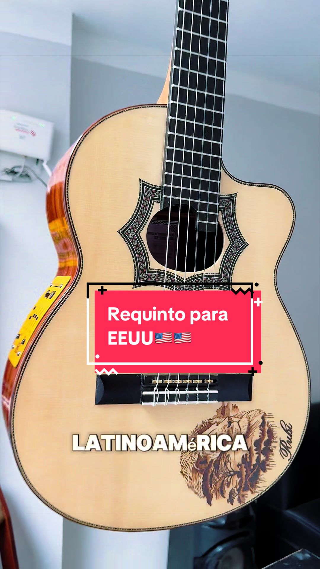 @Guitarras Andina