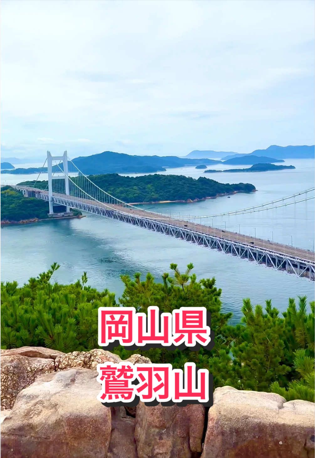 @音丸ぽん🇯🇵