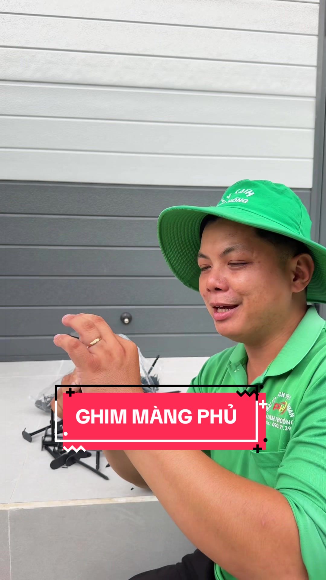 @Cây Xanh Phong Hồng