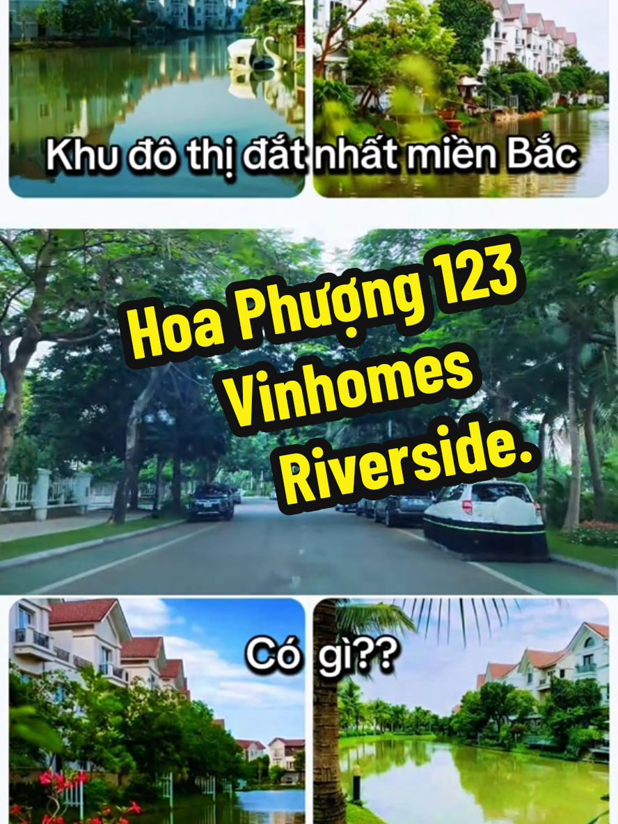@Thiên Định Official