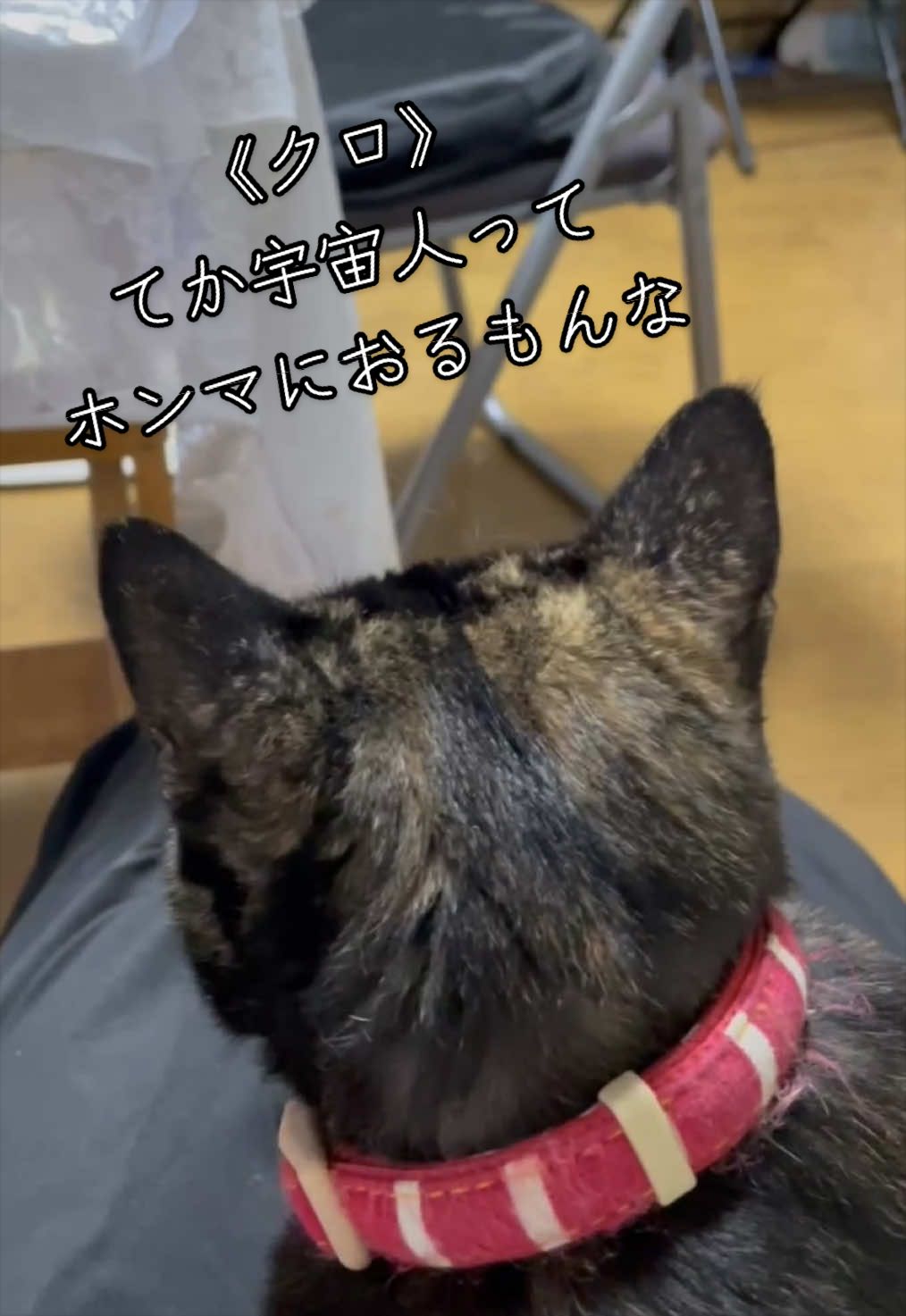 @聴々物語PROJECT