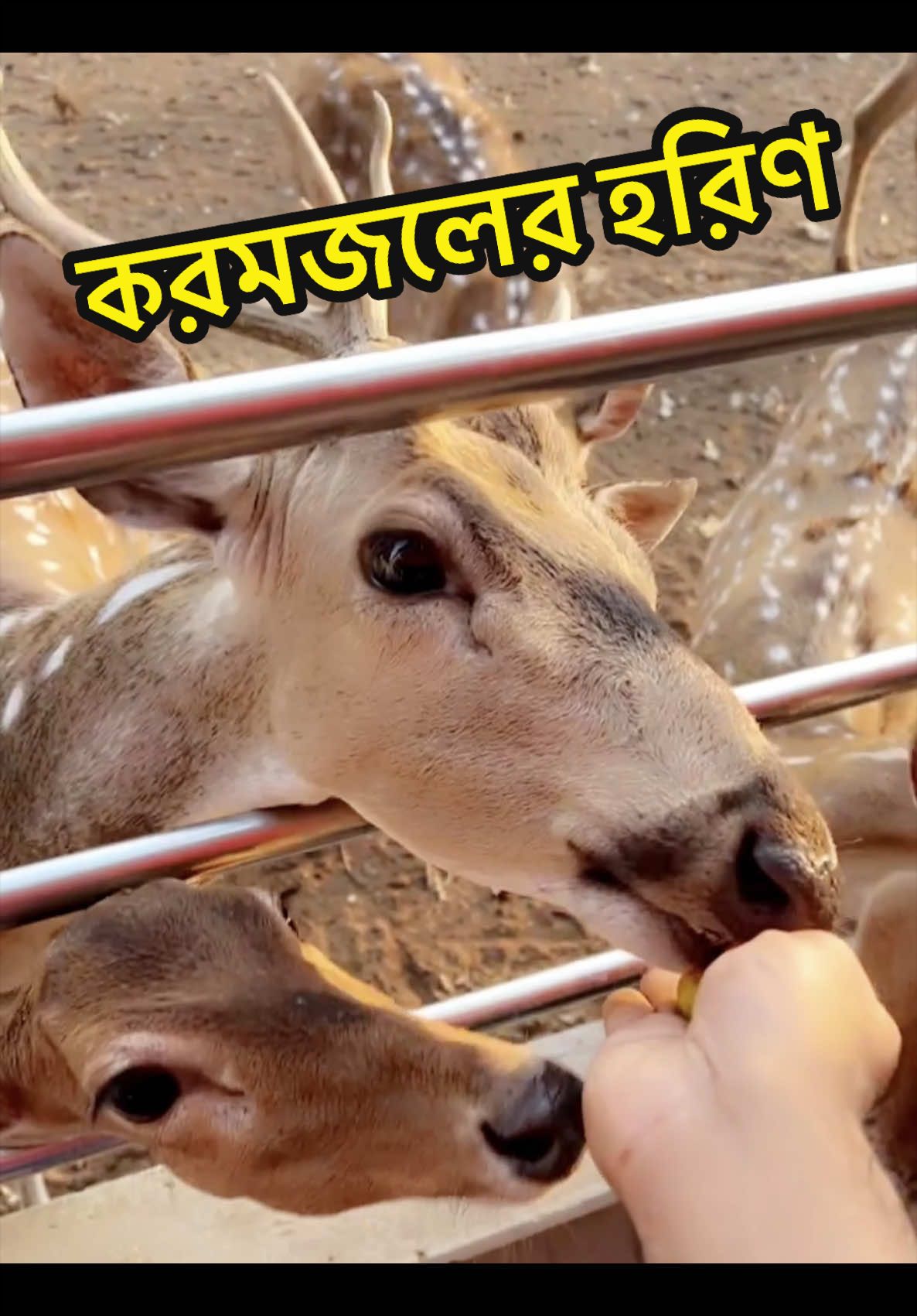 @Aqib Asif Trading (Ovi)