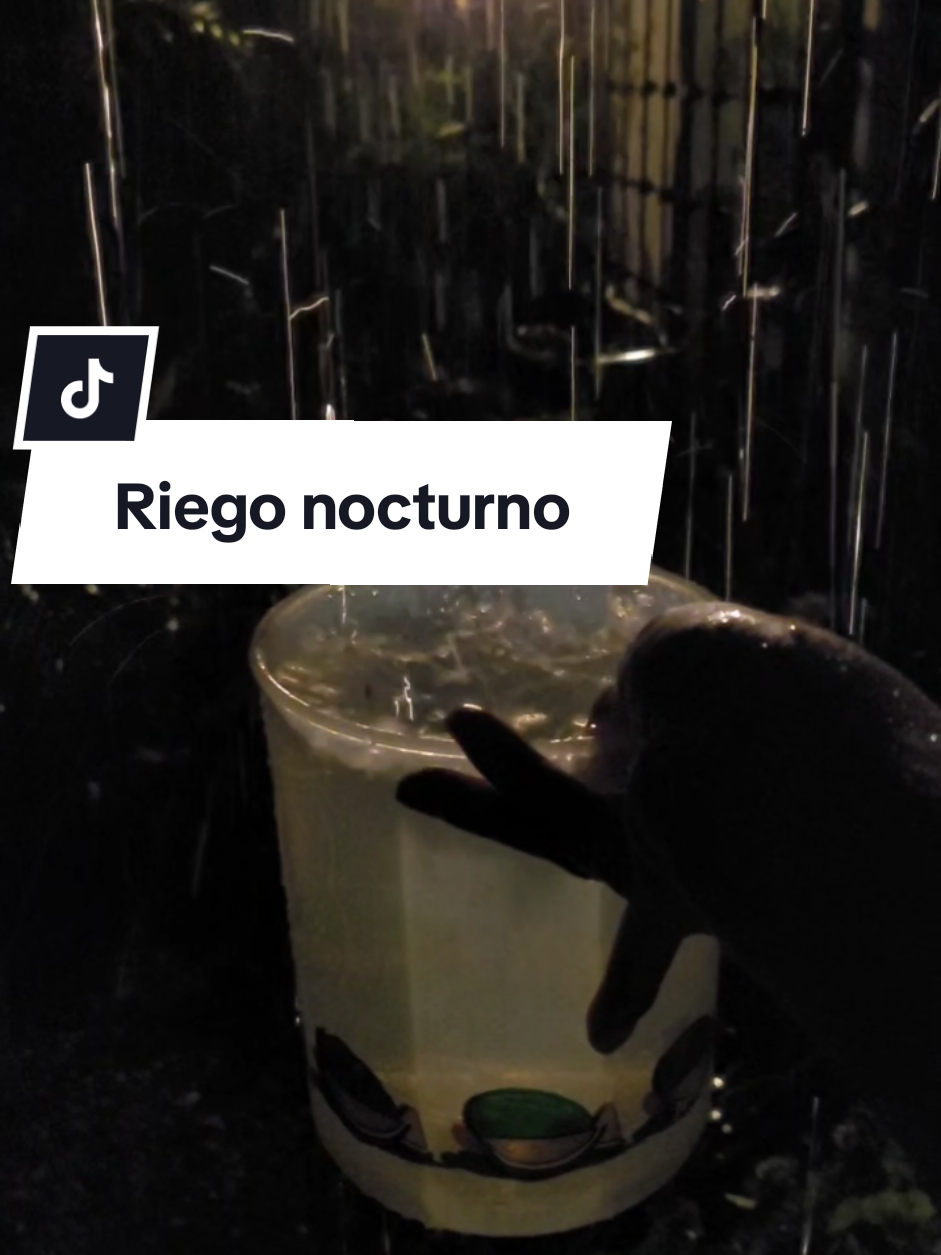 @Plantología🌿