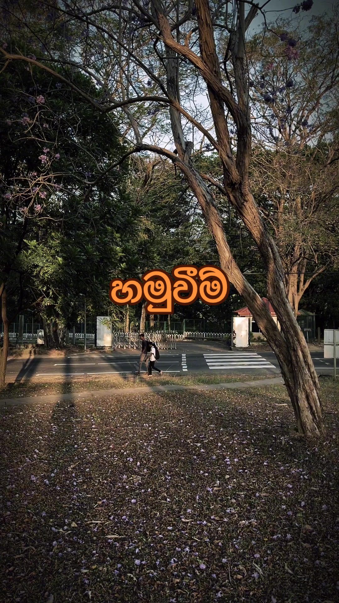@Dilshan R