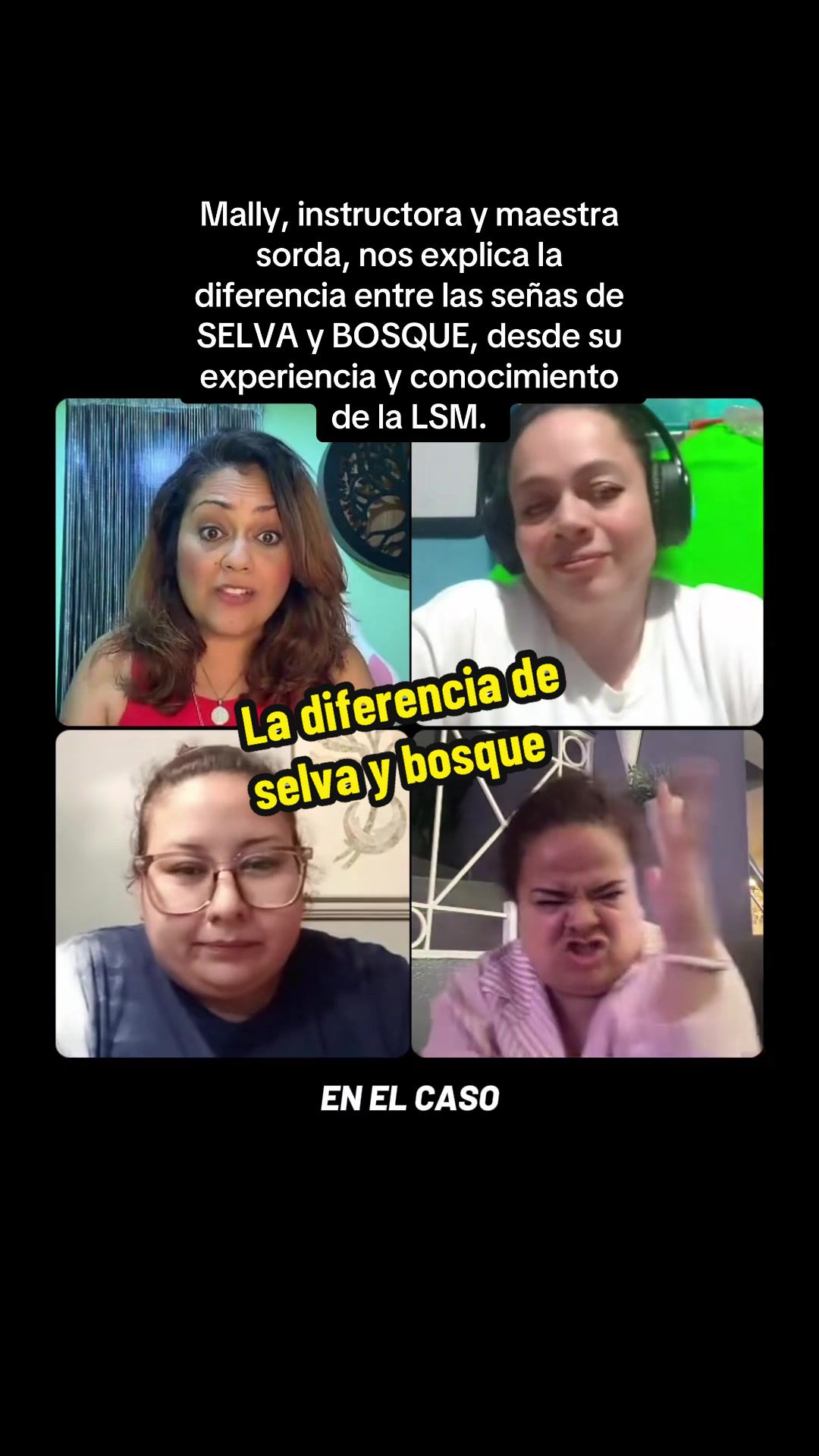 @Miriam Ramírez