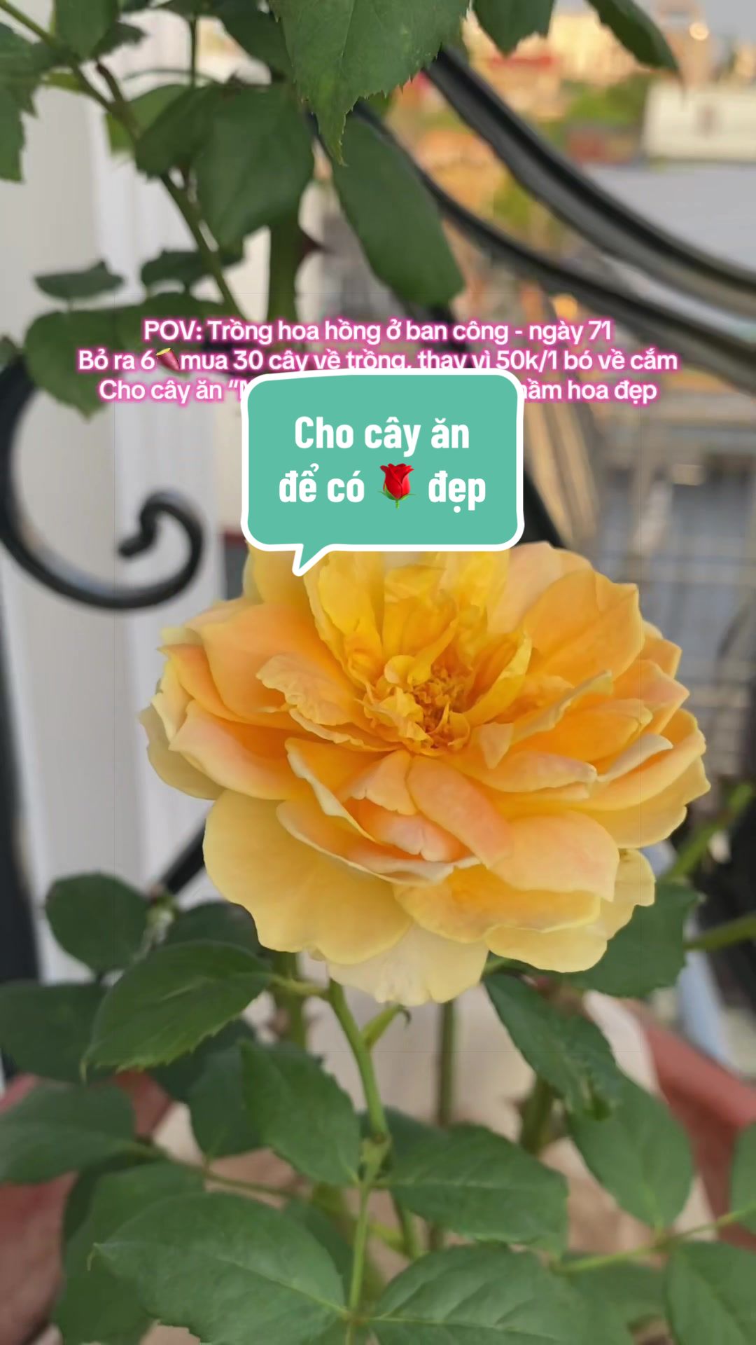 @Gia vị cuộc sống