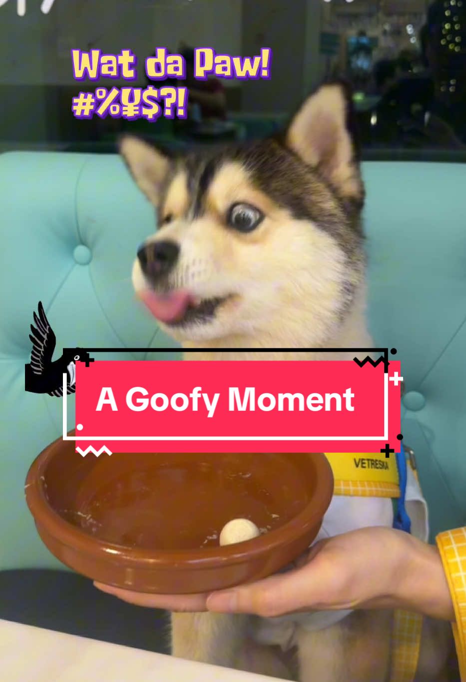 @Goofy&ensp;Dawg