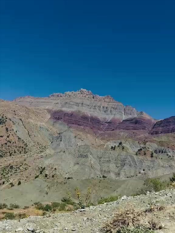 @ŞİYAR ✪