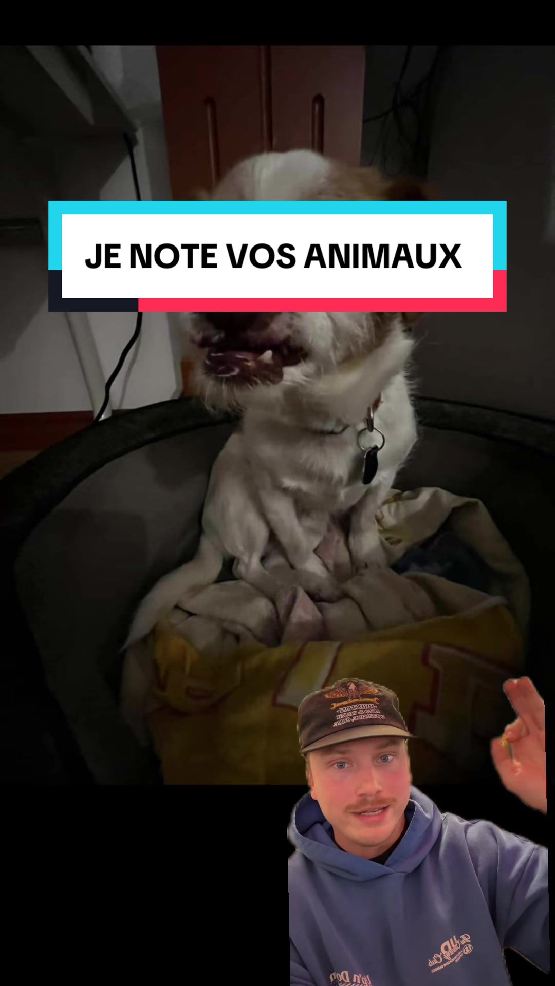 @messierlaterreur