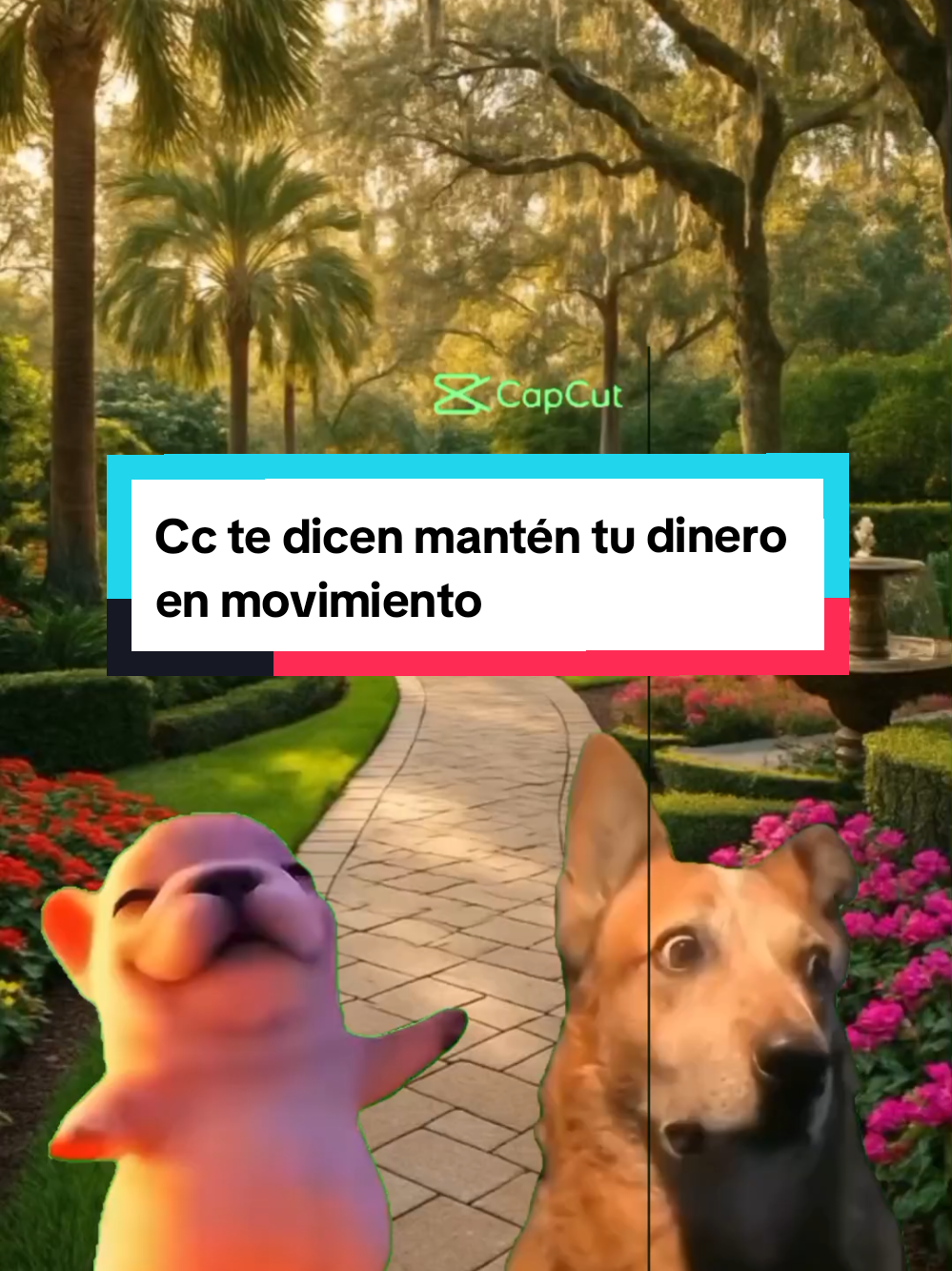 @Cinthya. BR 🦋