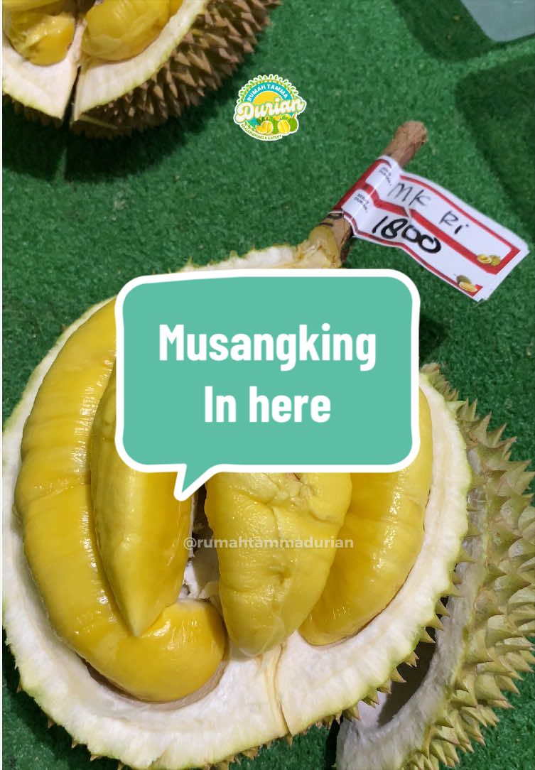 @Rumah Tamma Durian