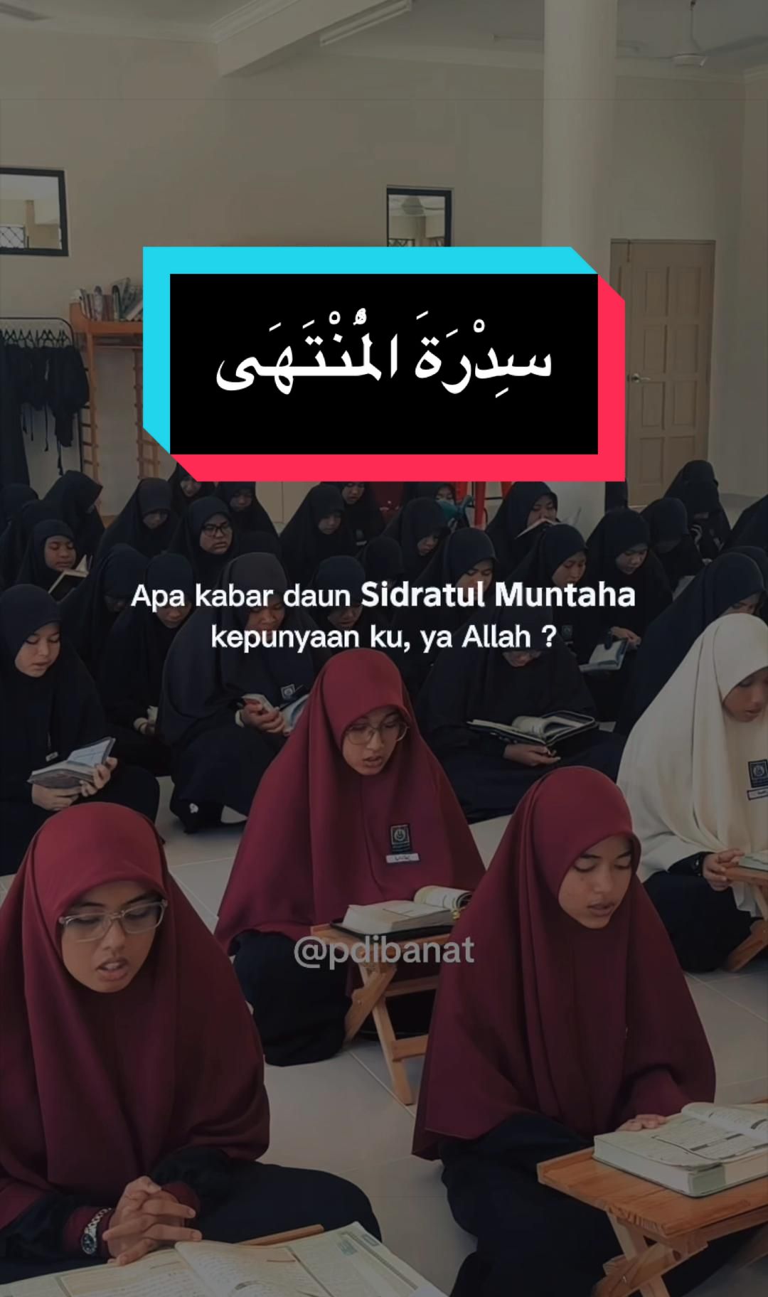 @PDI_Banat