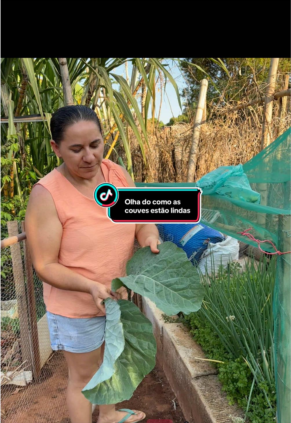 @Antonia Sousa