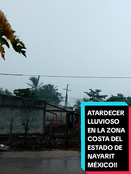 @Eliseo López