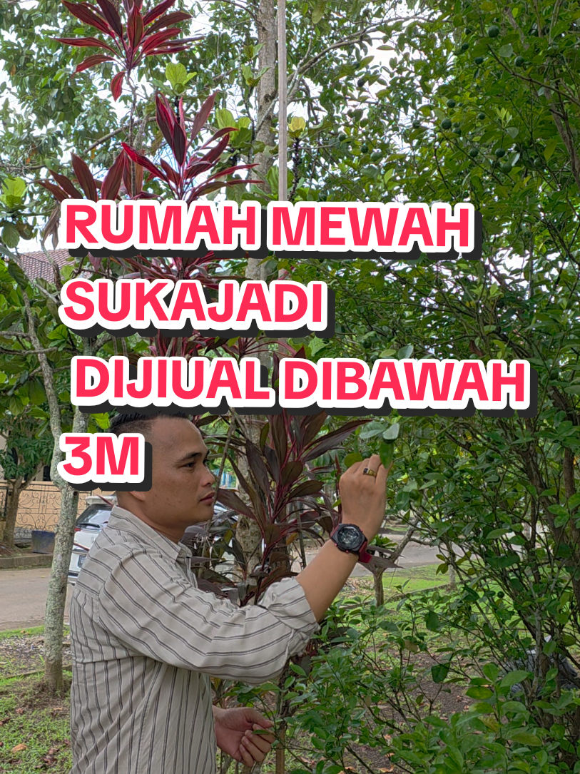 @DAMAI PROPERTY BATAM