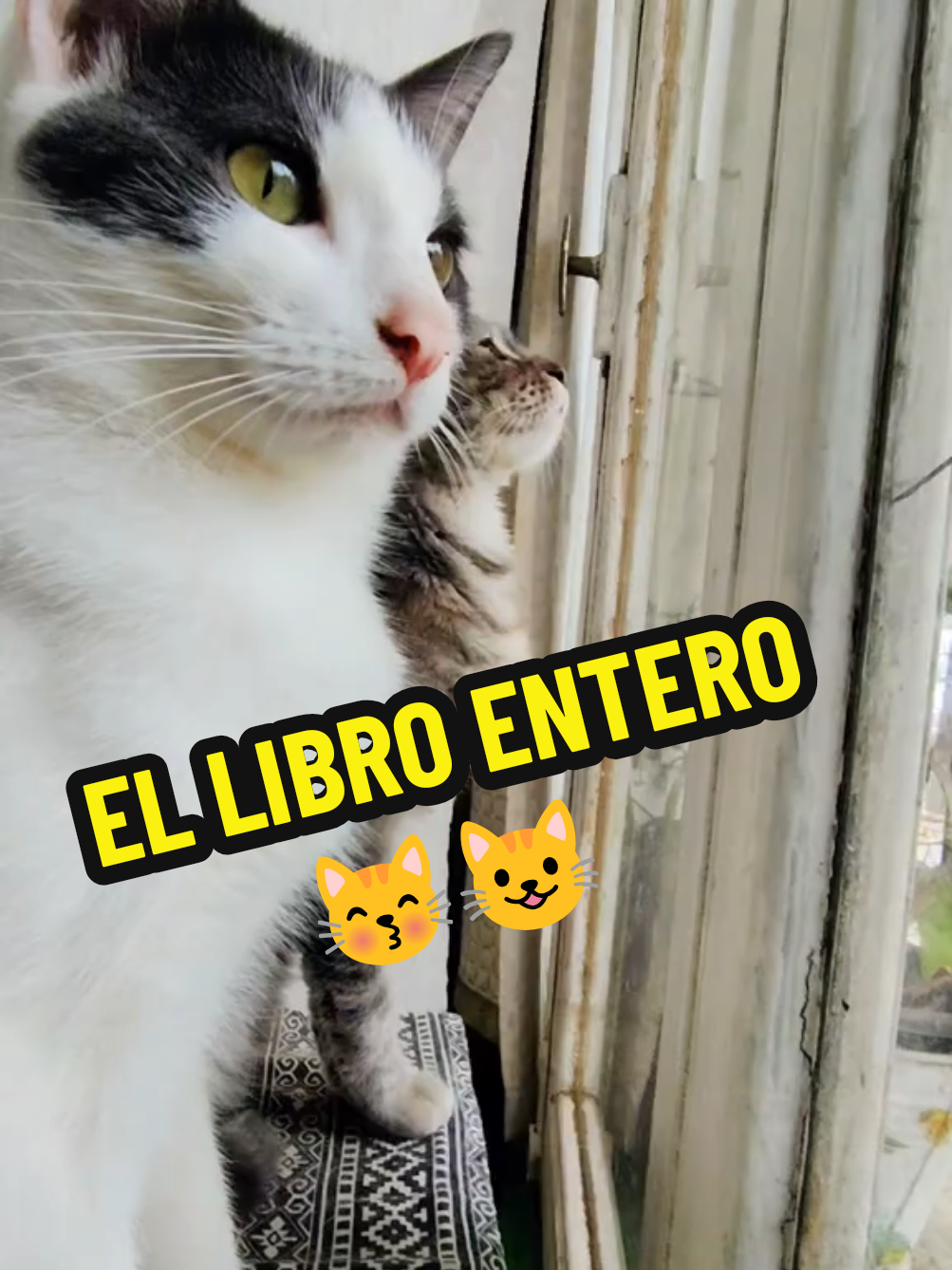@TITA y RHODESIA