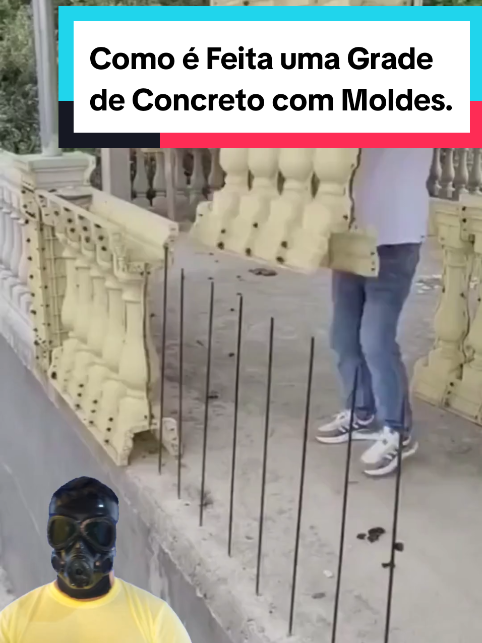 @Mundo da Curiosidades