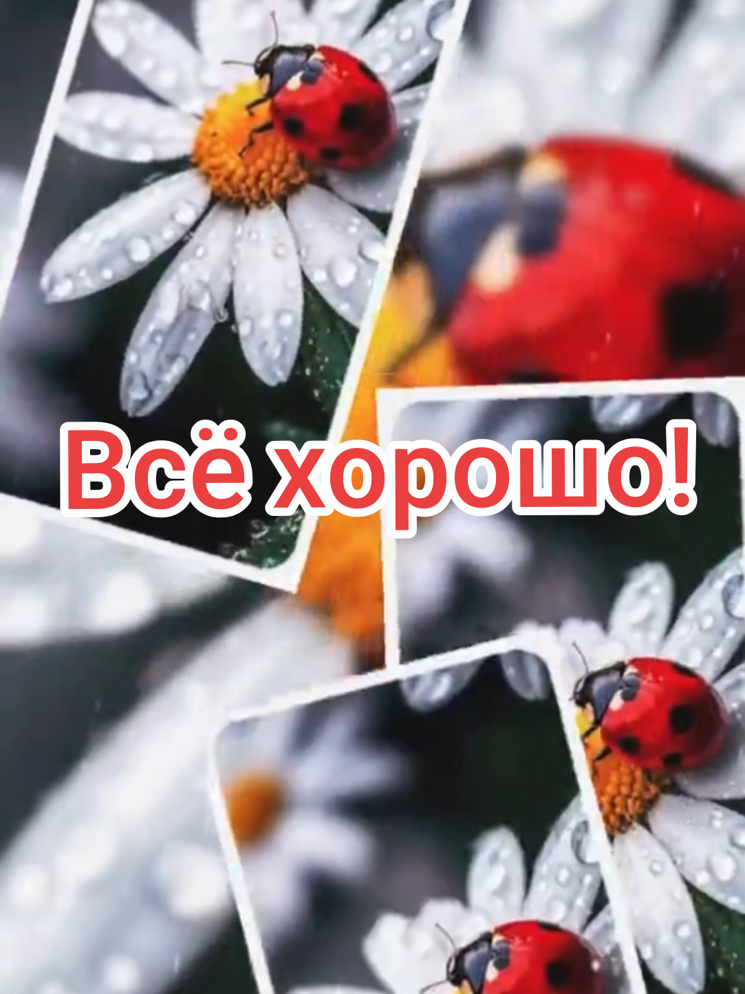 @ЕленаУтро