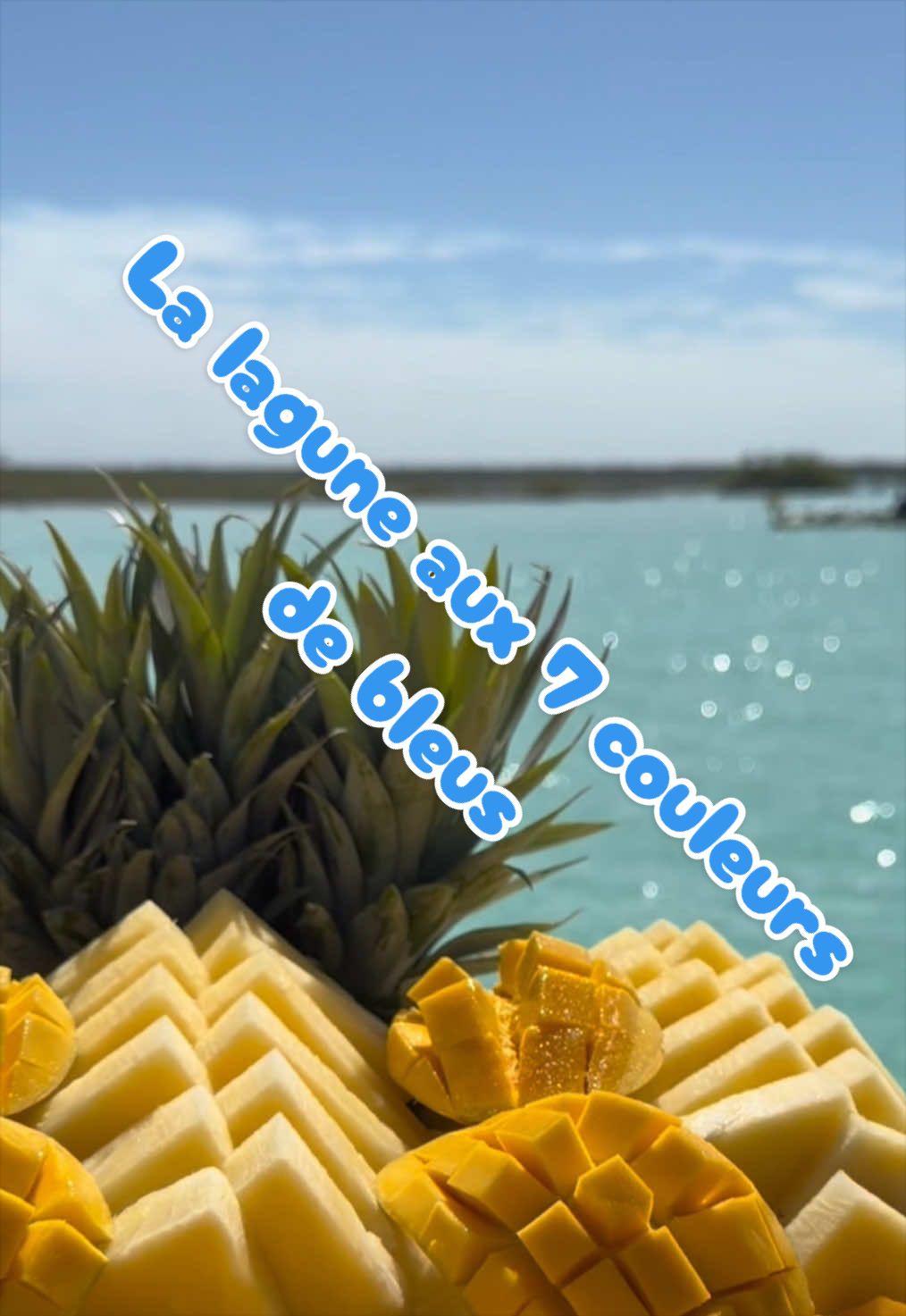 @xamanexperience