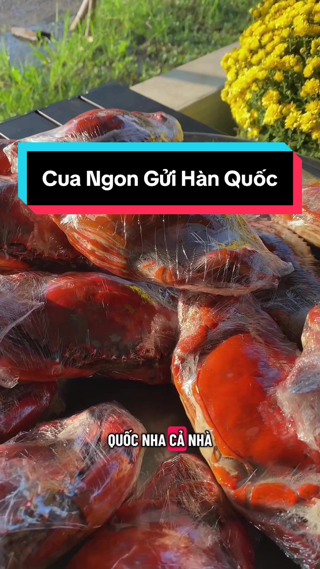 @Tuananh Do