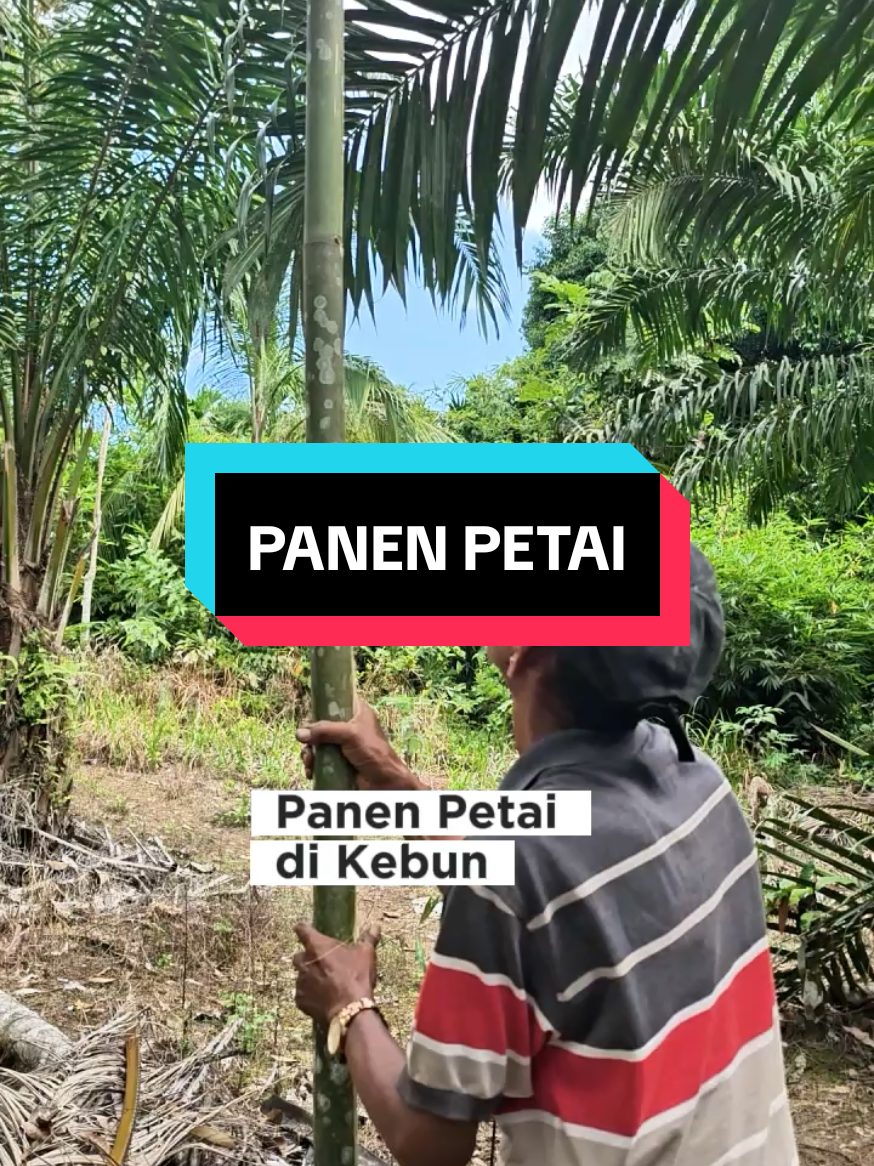 @Mr JARNAWI