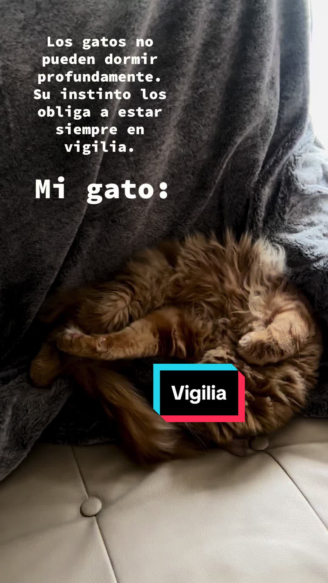 @Manu
