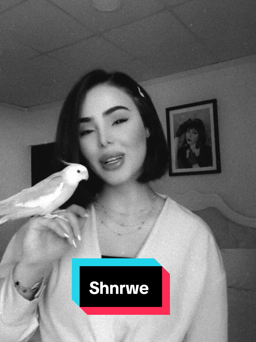 @shnrwe_mustafa