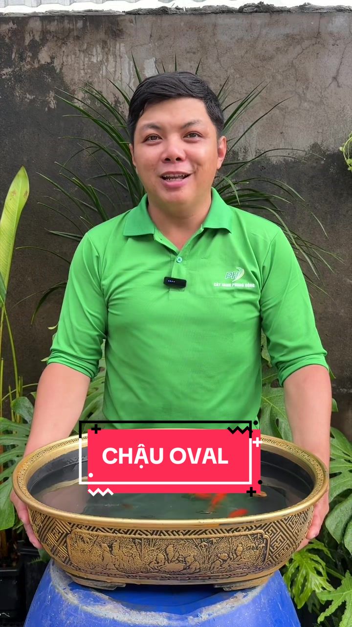 @Cây Xanh Phong Hồng