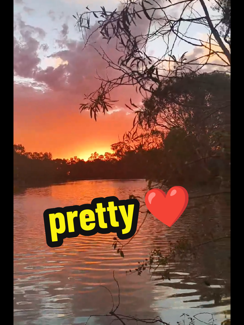 @Tanya 🐨🦘