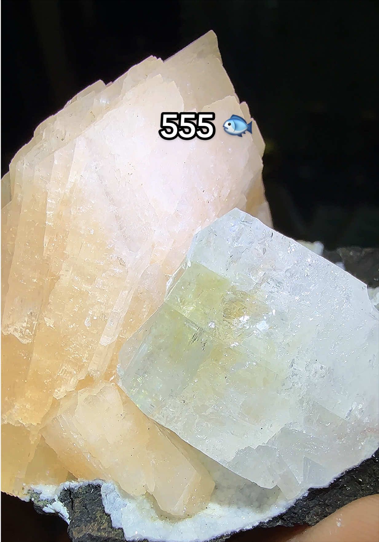 @Halen Crystal