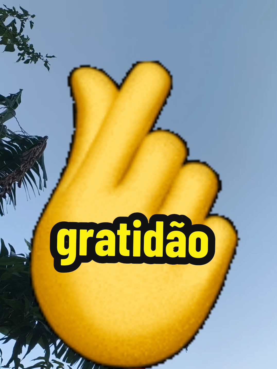 @vana Santos