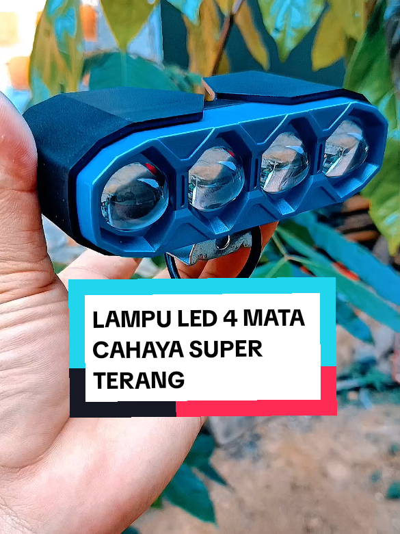 @yunfa lovers
