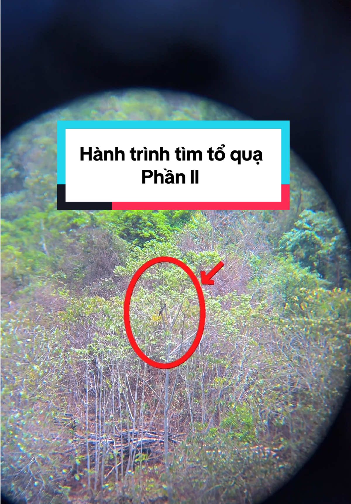 @C&C Miền N&uacute;i ⛰️