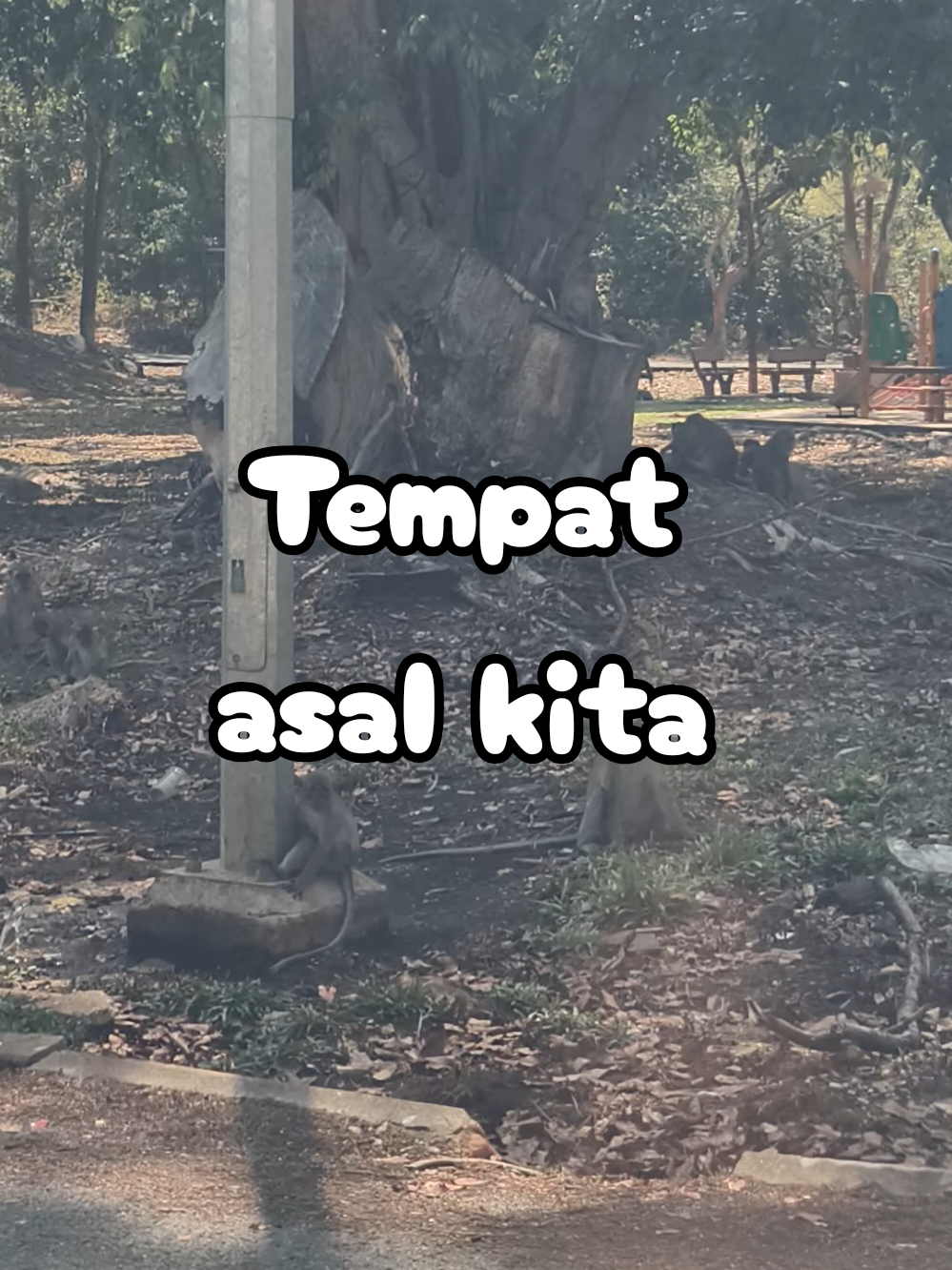 @EIZZwANRoSSY™