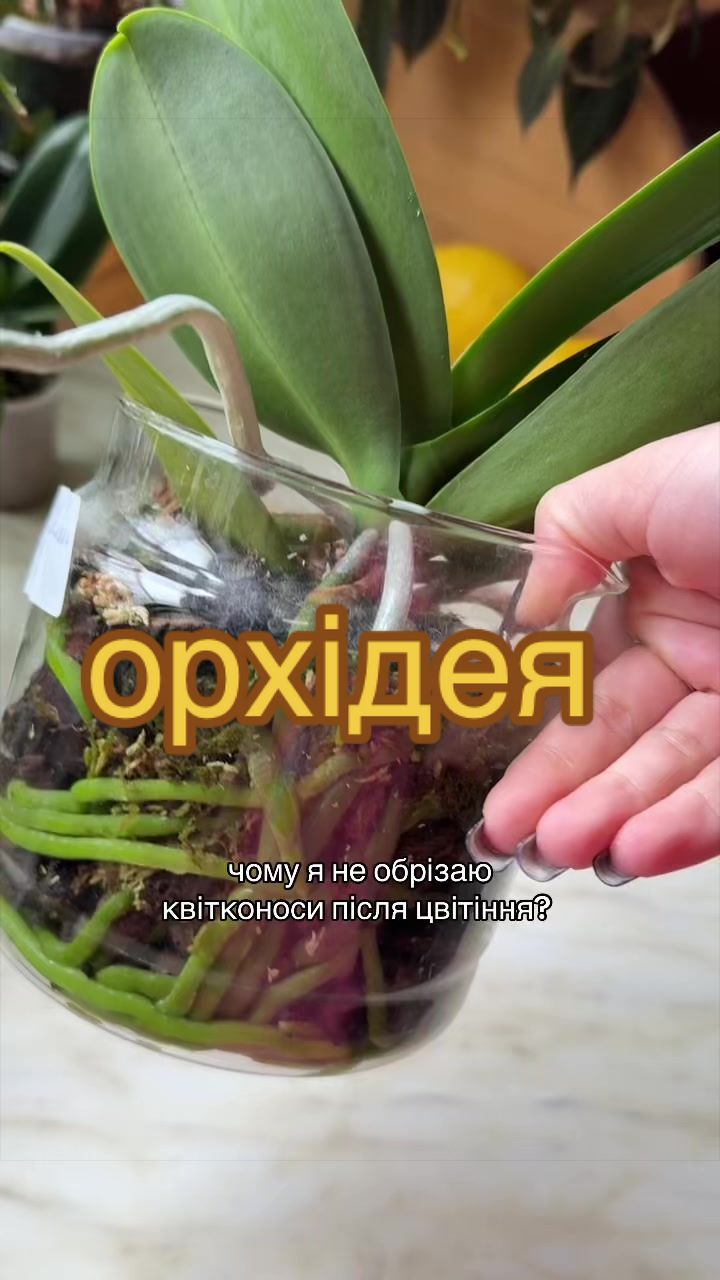 @🧚леся🧚