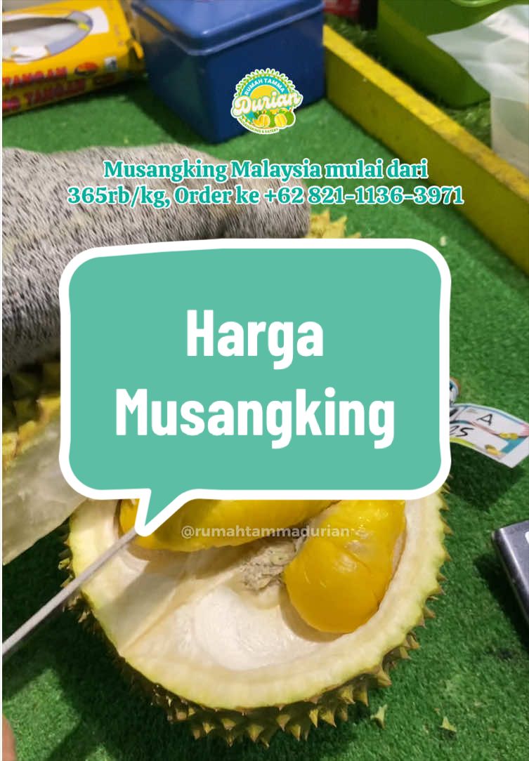 @Rumah Tamma Durian