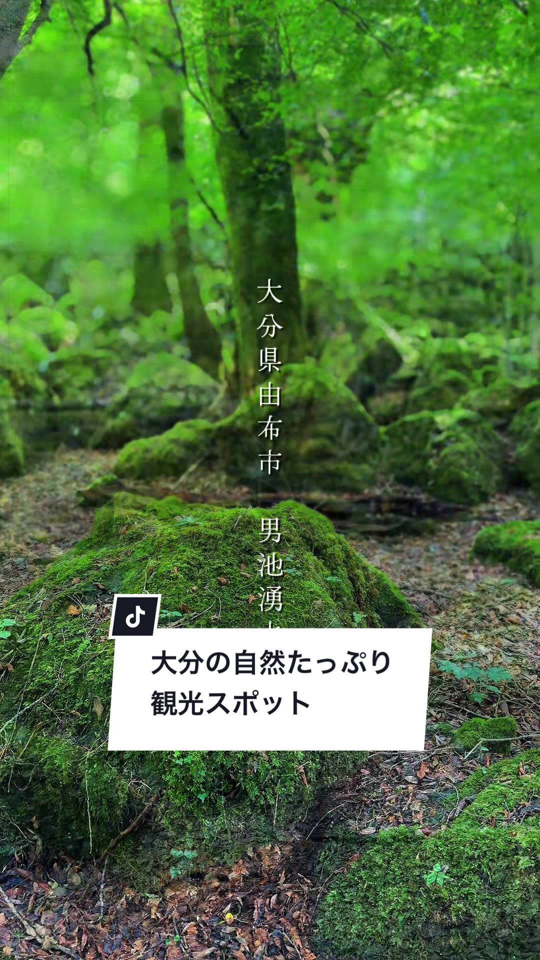 @俺たちならできる!?【九州イベント、観光⠀】