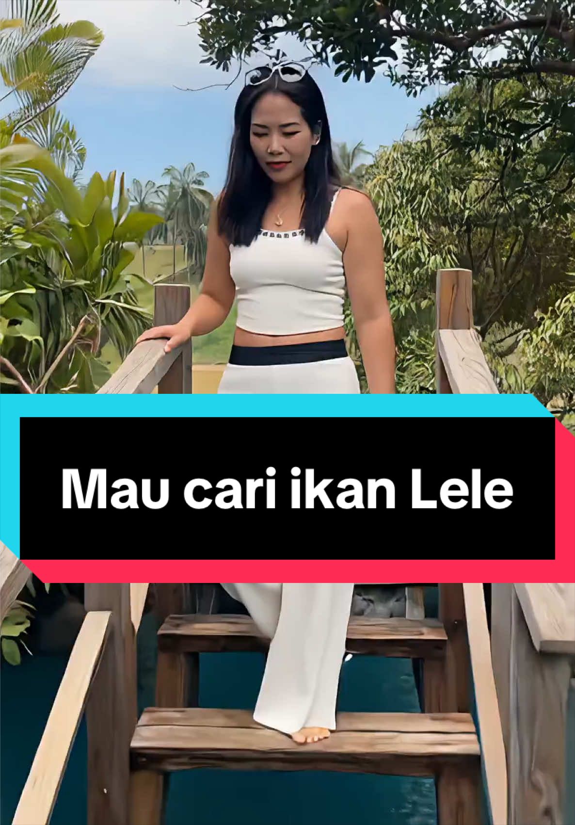 @LINDA TAN