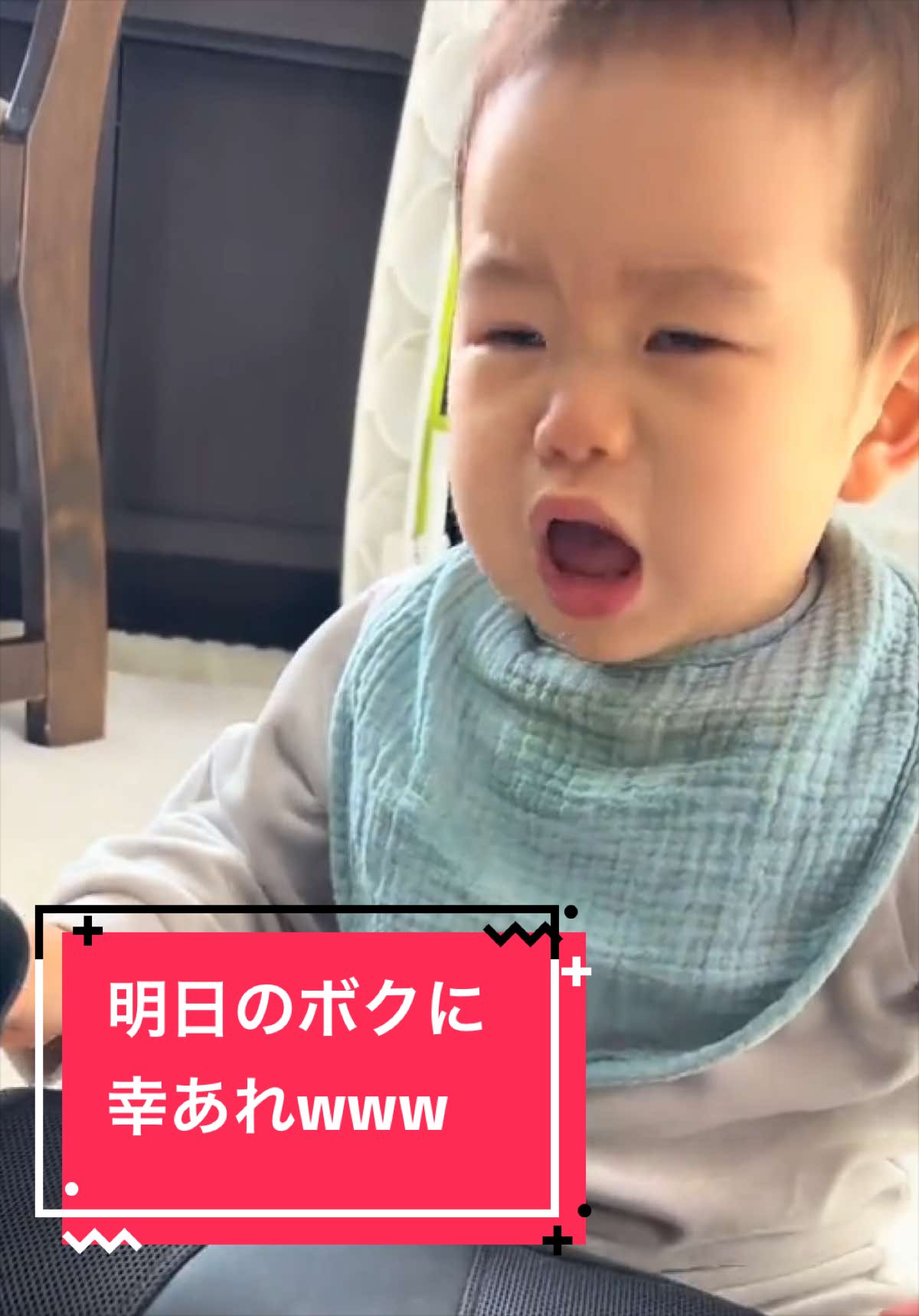 @とらままんち