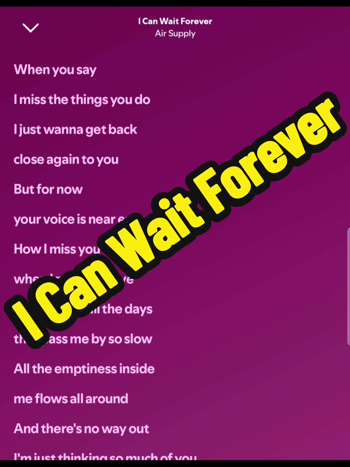 @Dog Narrator 🐶 | Lyrics